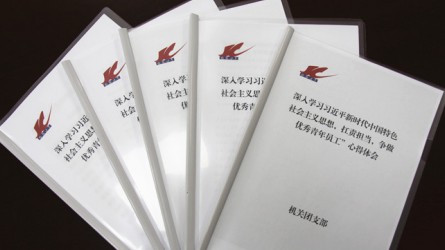 交通監(jiān)理公司團(tuán)委深入開展學(xué)習(xí)新思想，爭做扛責(zé)擔(dān)當(dāng)優(yōu)秀青年員工活動